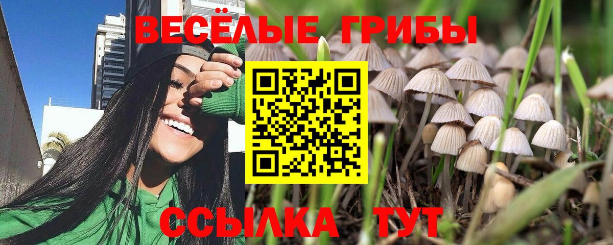 Псилоцибиновые грибы Magic Shrooms Видное