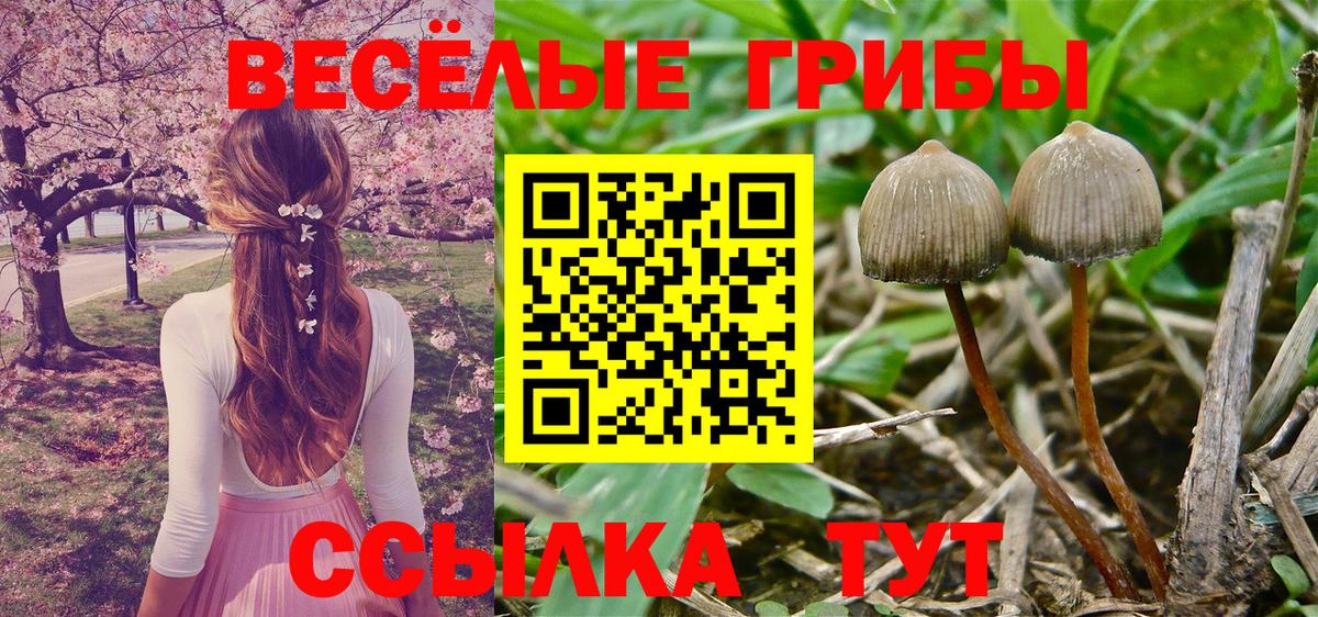 Видное  Псилоцибиновые грибы Magic Shrooms  Вход с VPN 